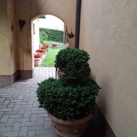 Wunderhaus Apartment *